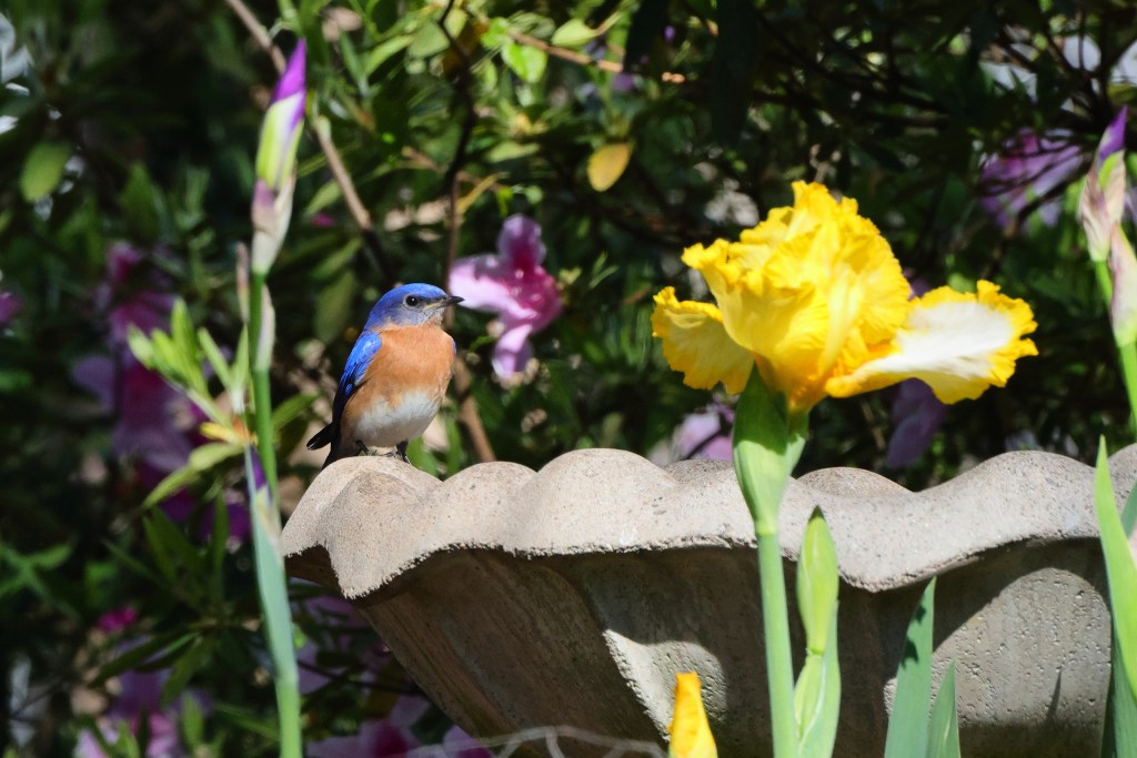 post water features in backyard