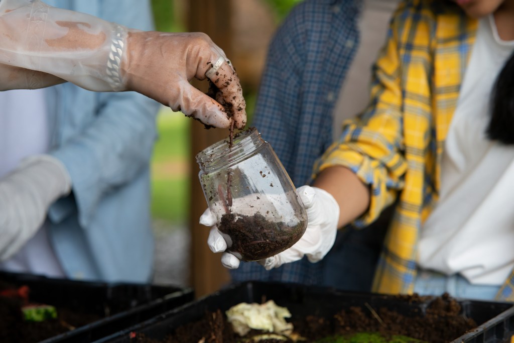 eatured post functional tips for garden