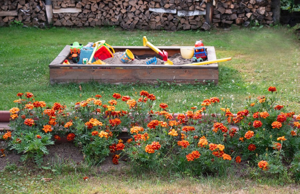 post Using a Color Wheel to Plan Your Garden