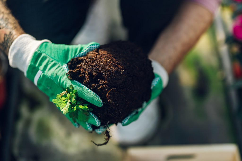 eatured post functional tips for garden