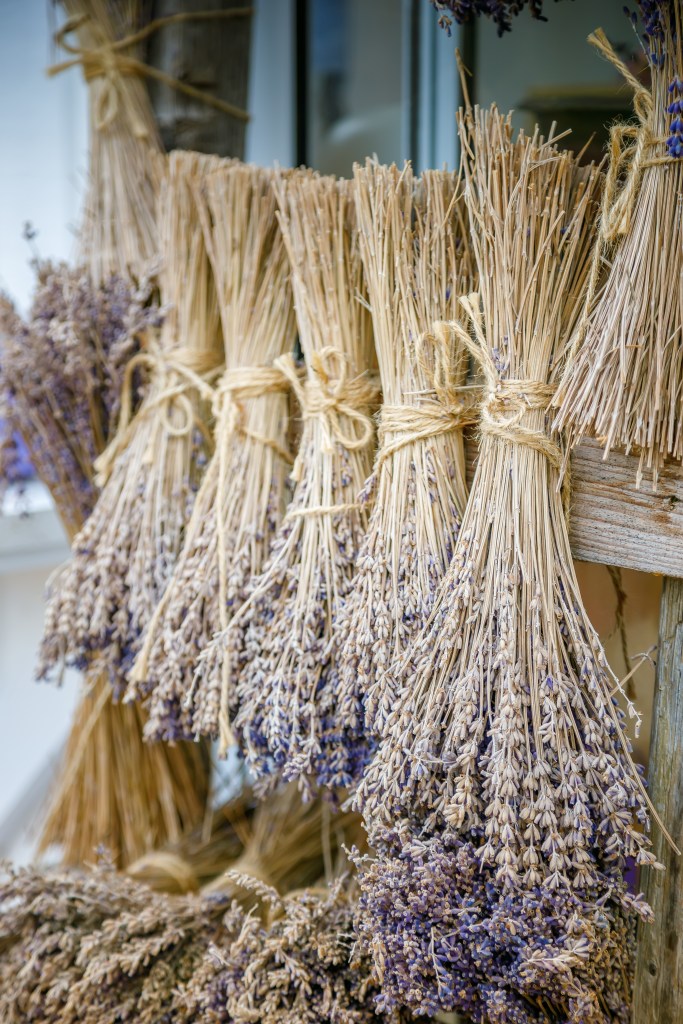 Dried Lavender flowers