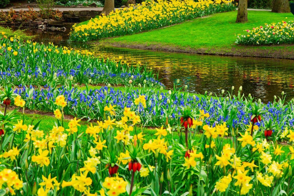 post Using a Color Wheel to Plan Your Garden