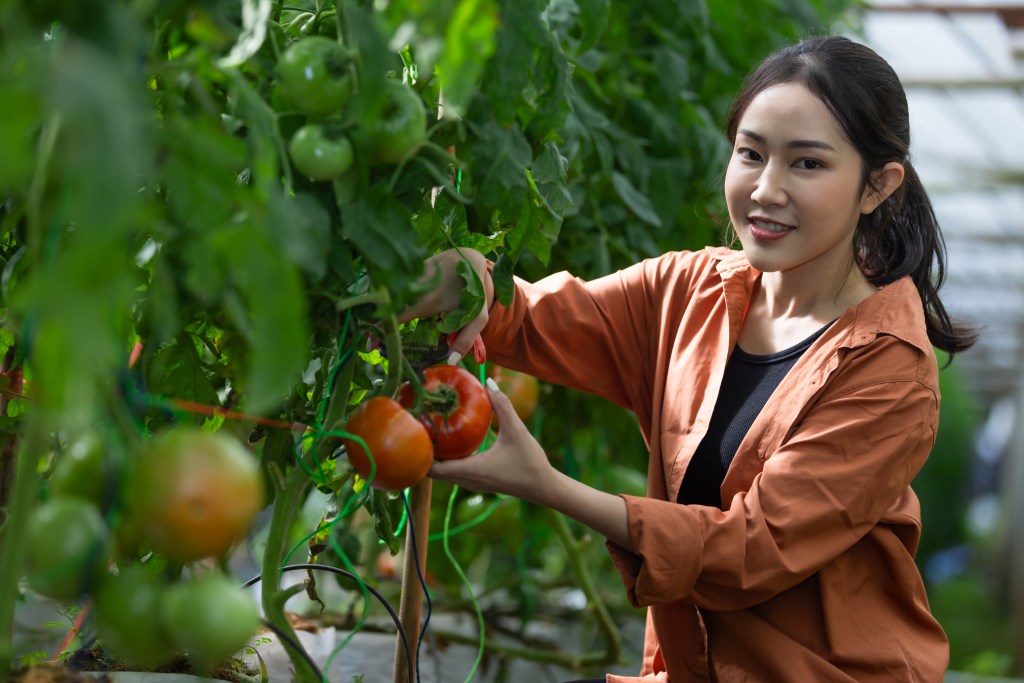 eatured post functional tips for garden