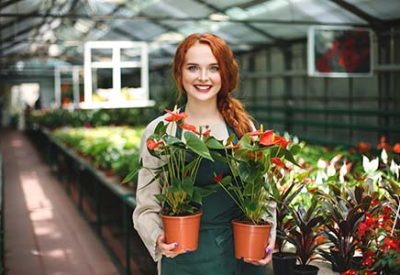 Posts 11 benefits container Gardening Pots, containers, planters