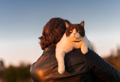 post 14 things you can do to save the world